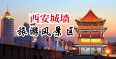 黄污骚国产调教骚逼中国陕西-西安城墙旅游风景区